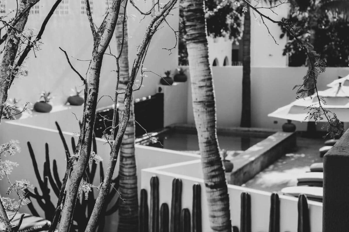 4 Charming Suite King Rooms In Luxurious Boutique Hotel San José del Cabo المظهر الخارجي الصورة